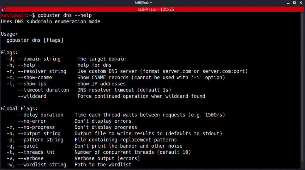 Gobuster DNS Mode For Scanning Subdomains