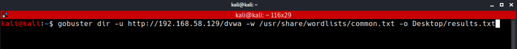 Gobuster output command