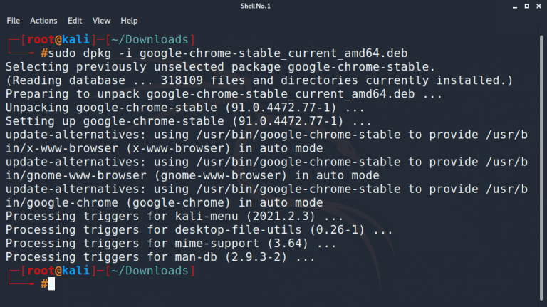 install chrome on kali