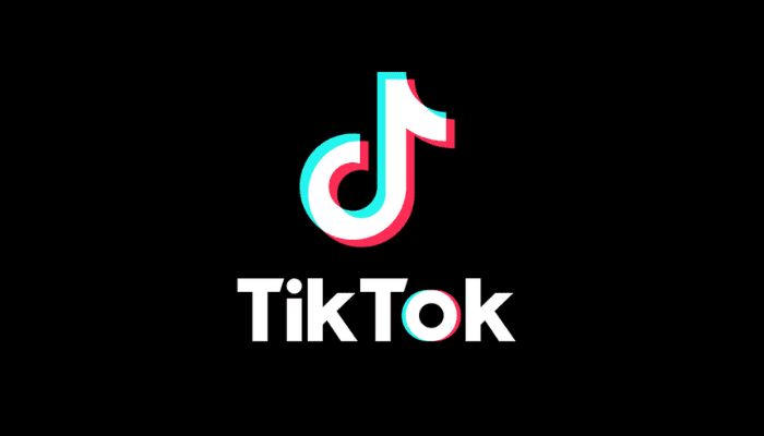 Trollishly: An Ultimate Guide to Repurposing TikTok Content