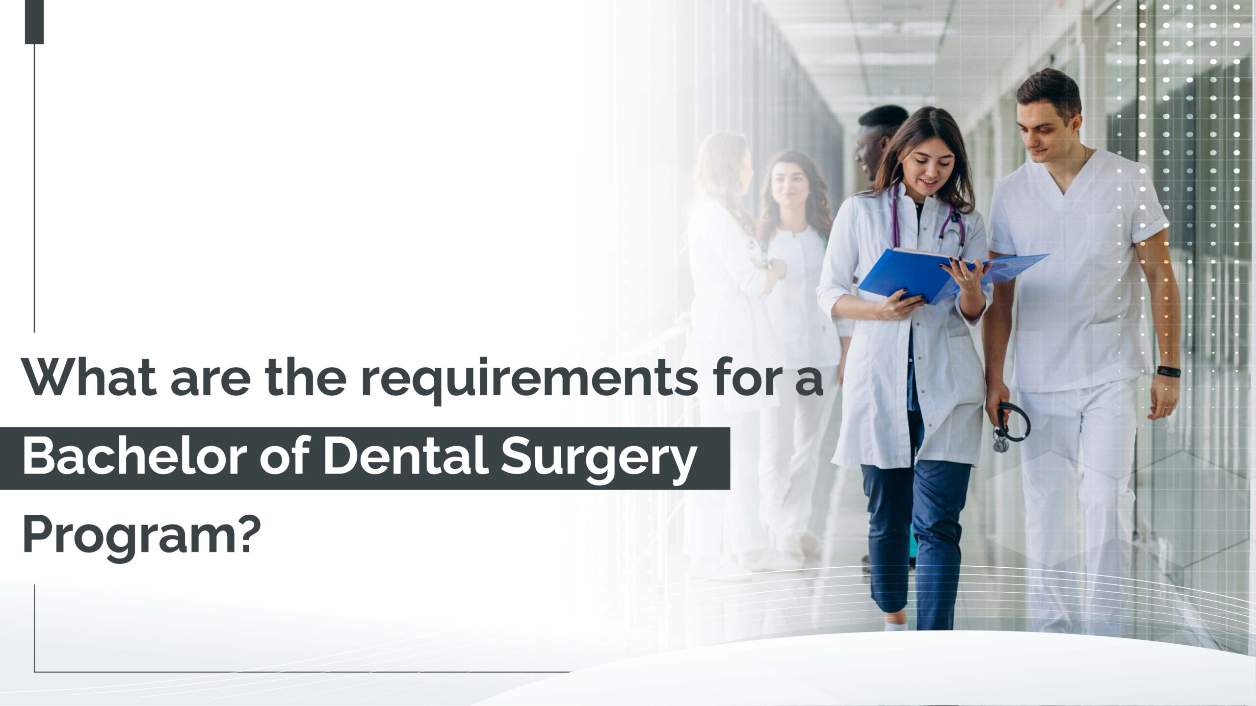 What are the requirements for a Bachelor of Dental Surgery Program
