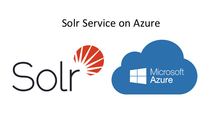 Why Does Your Business Need Solr Support Services