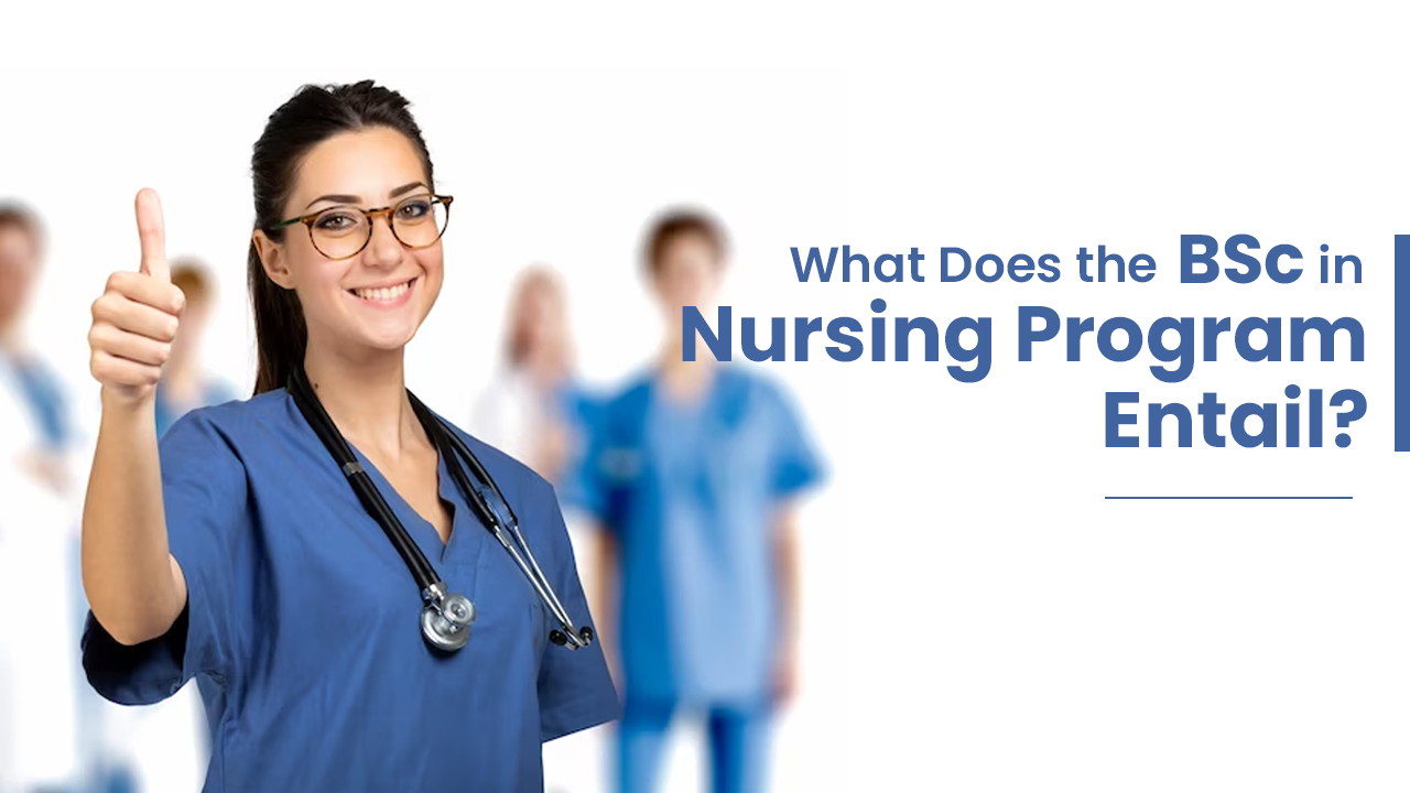 What Does the BSc in Nursing Program Entail